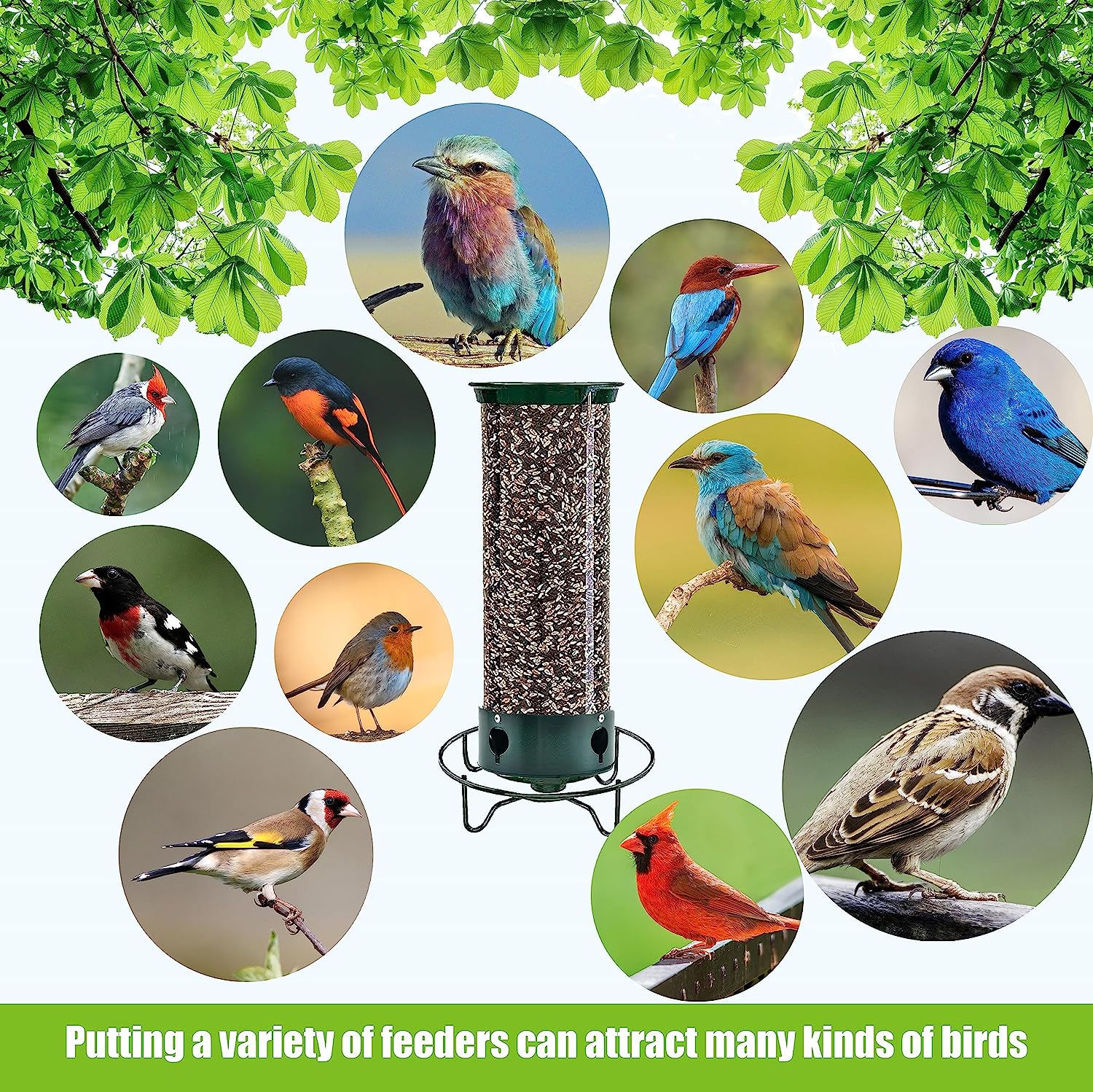 (🔥Last Day Promotion 50% OFF🔥)Squirrel-Proof Bird Feeder(Buy 2 Get Extra 10% OFF Now)