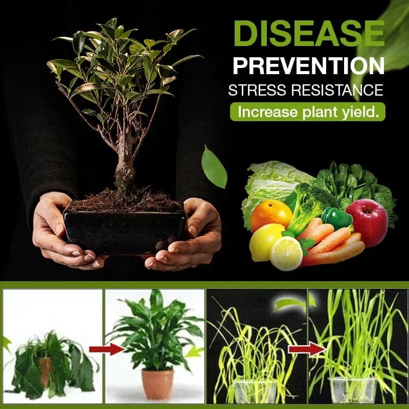 🔥 BUY 3 GET 2 FREE 🔥 Soil Activated Treasure