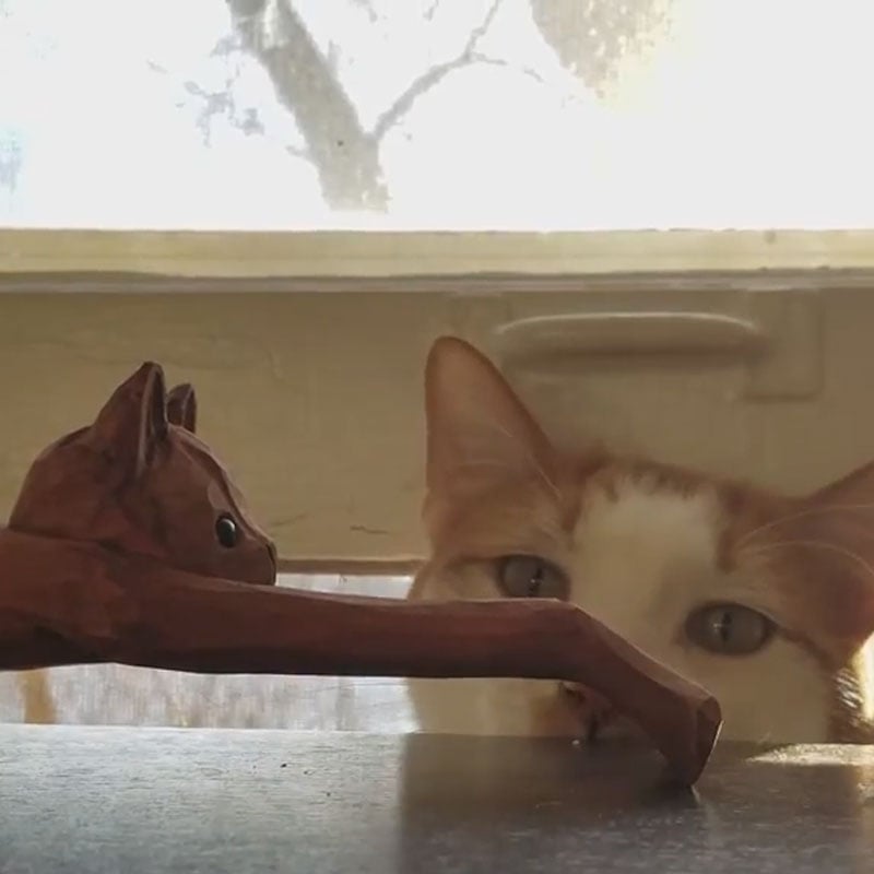 🐱CAT-SHAPED BACK SCRATCHER