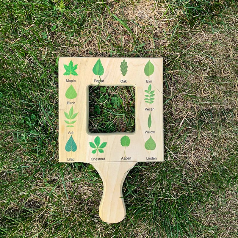 🔥Last Day Promotion 70% OFF🔥🌿🎉Nature Guide Finder
