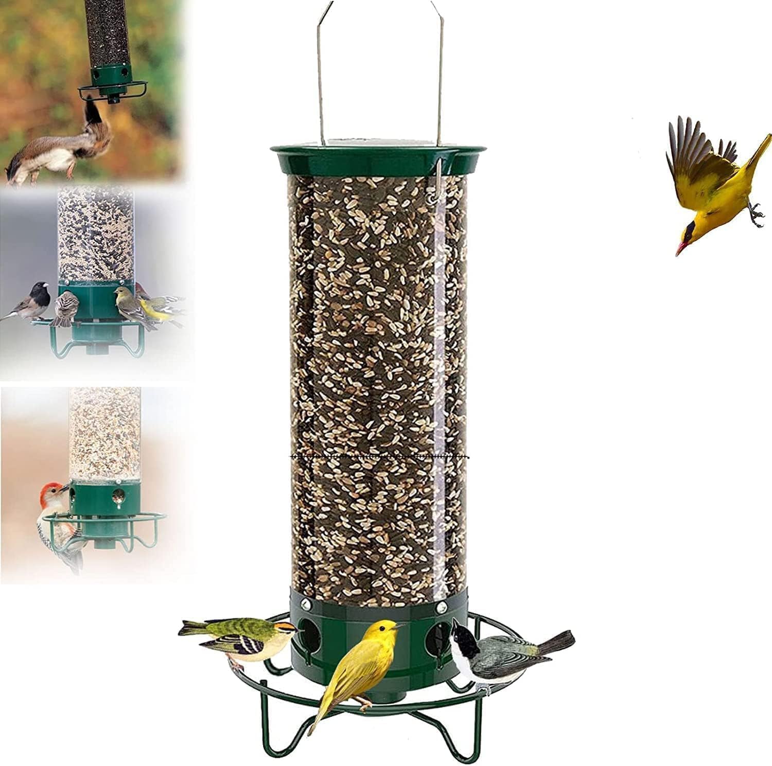 (🔥Last Day Promotion 50% OFF🔥)Squirrel-Proof Bird Feeder(Buy 2 Get Extra 10% OFF Now)