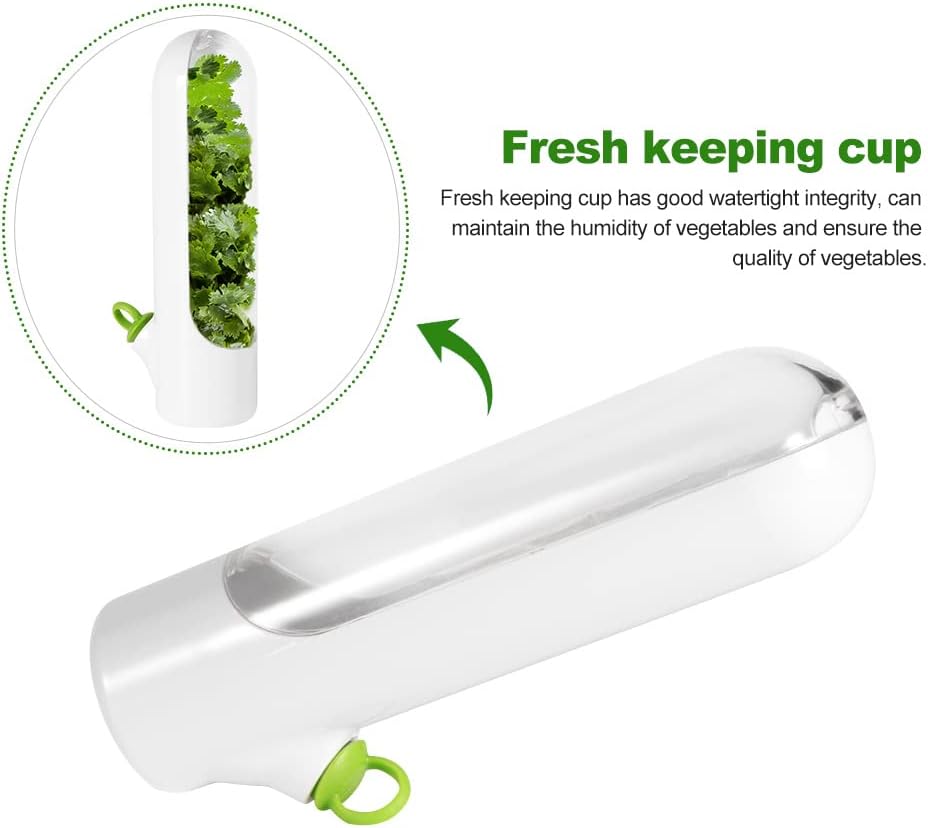 🔥Last Day Promotion 50% OFF🔥 - Fresh vegetable storage box