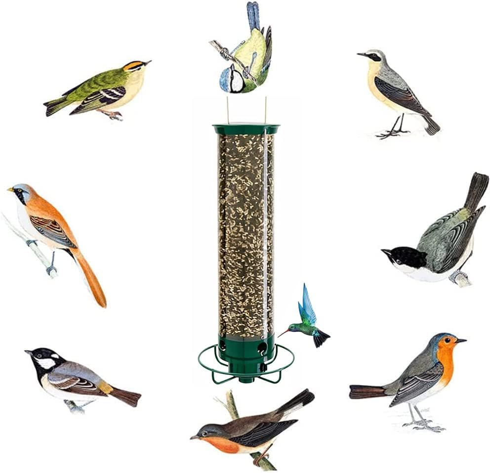 (🔥Last Day Promotion 50% OFF🔥)Squirrel-Proof Bird Feeder(Buy 2 Get Extra 10% OFF Now)