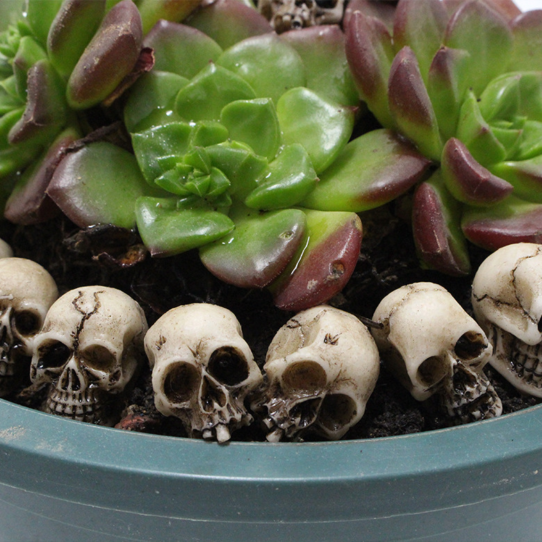 💀 Halloween Sale - 50% OFF 🔥 - Flowerpot Mini Skull Set(20 PCS)