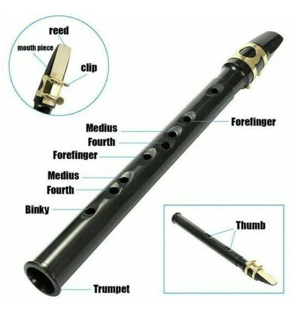 Pocket Saxophone Kit
