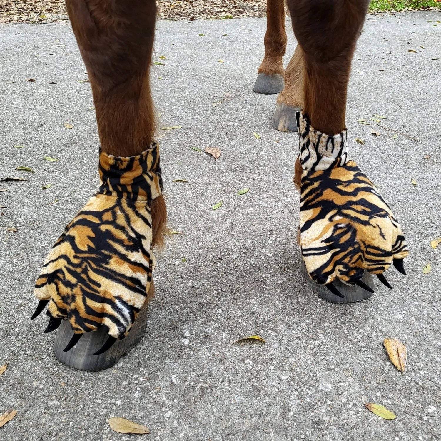 🎅 Early Christmas 49% OFF-Chicken Feet For Horse