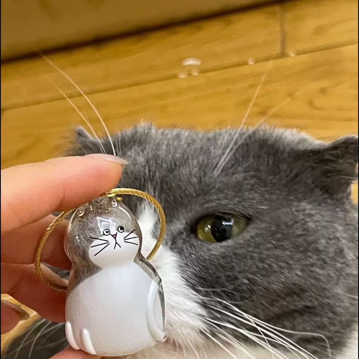 Cat Hair Collector Keychain Charm - Memorial Storage Box