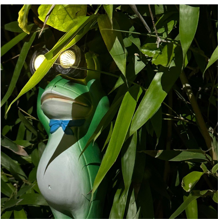 🐸FROG TELESCOPE SOLAR LAMP