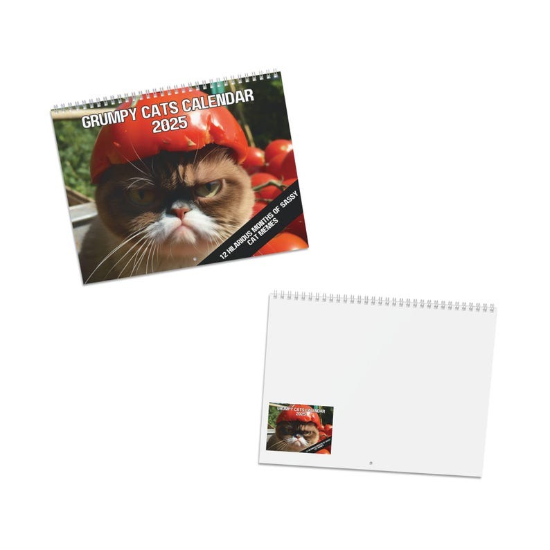 2025 funny cat calendar | angry cat calendar | funny cats