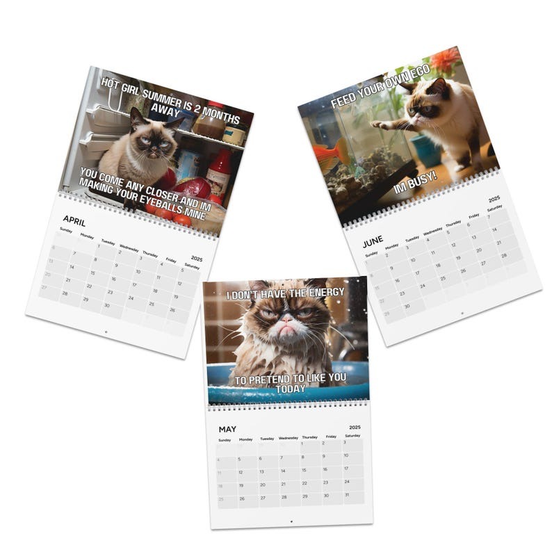 2025 funny cat calendar | angry cat calendar | funny cats
