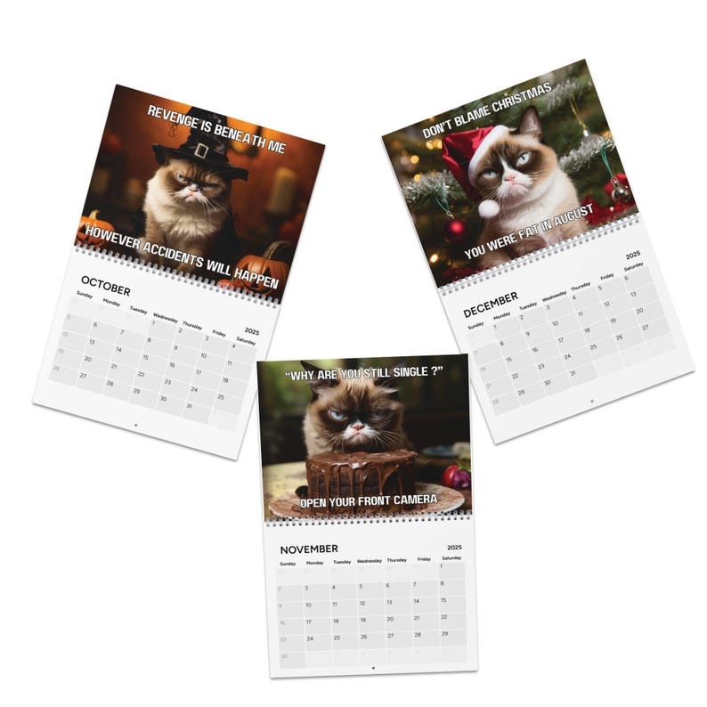 2025 funny cat calendar | angry cat calendar | funny cats