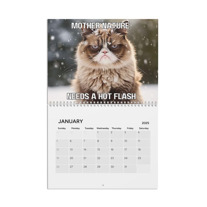 2025 funny cat calendar | angry cat calendar | funny cats