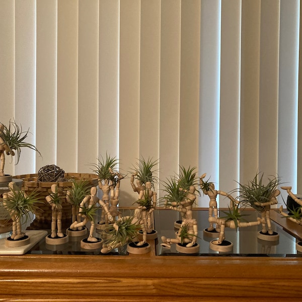 Unique Magnets Planters