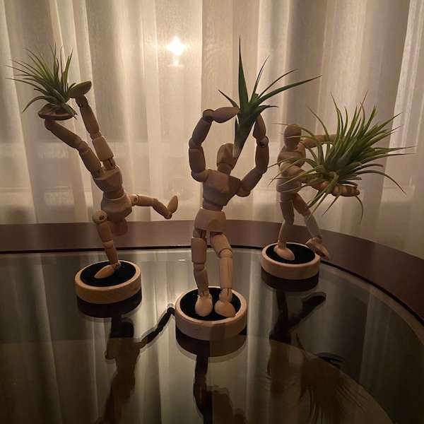 Unique Magnets Planters