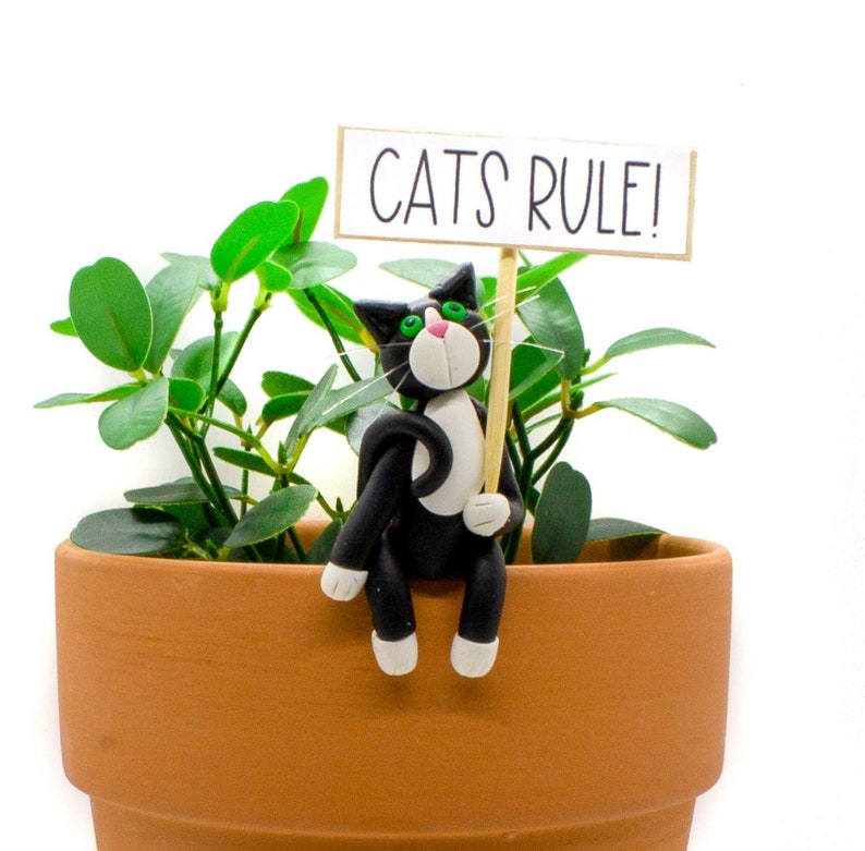 Funny Cat Pot Sitter