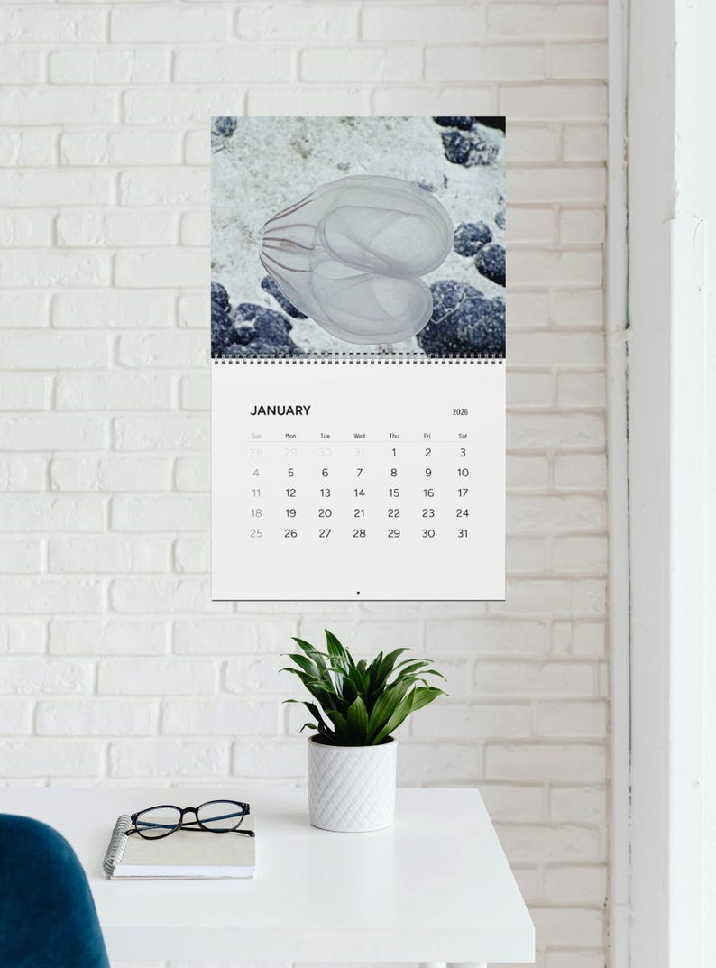 Natures Butt 2026 Calendar