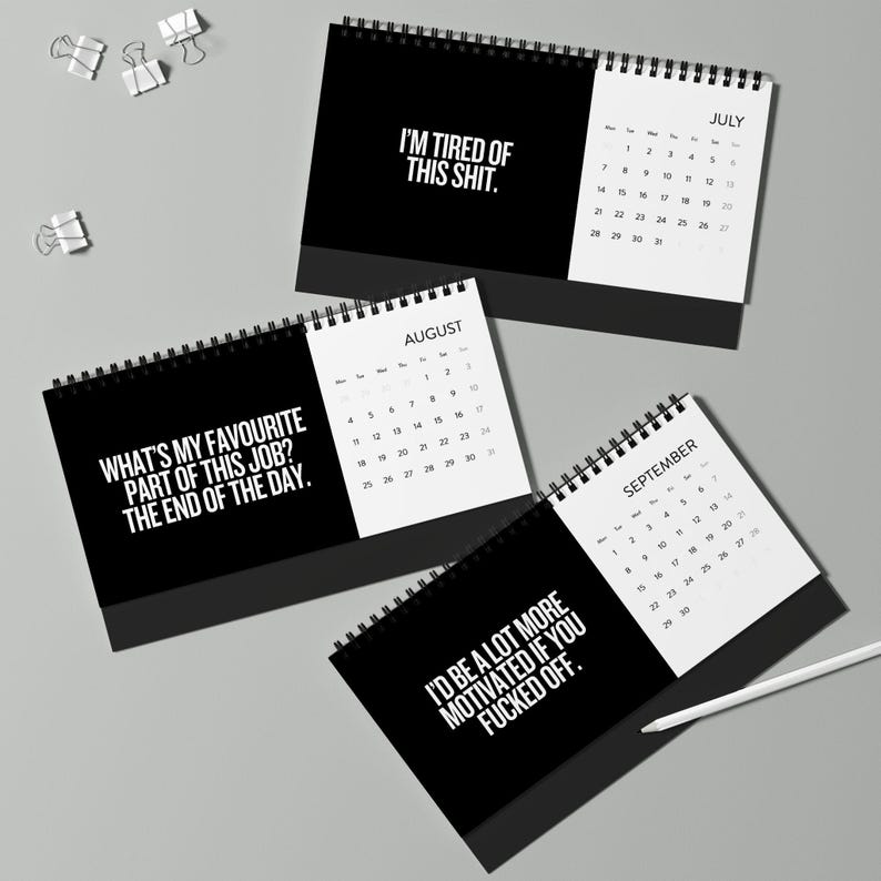 Sh*t I Want To Say At Work 2025 Calendar