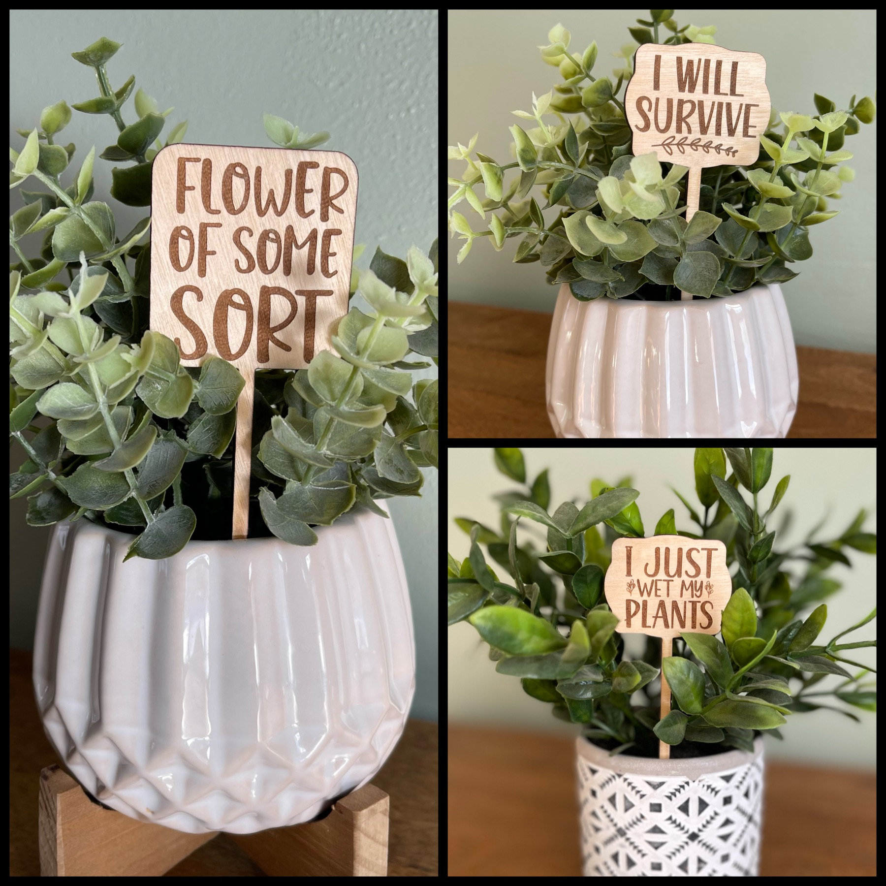 Funny Plant Markers