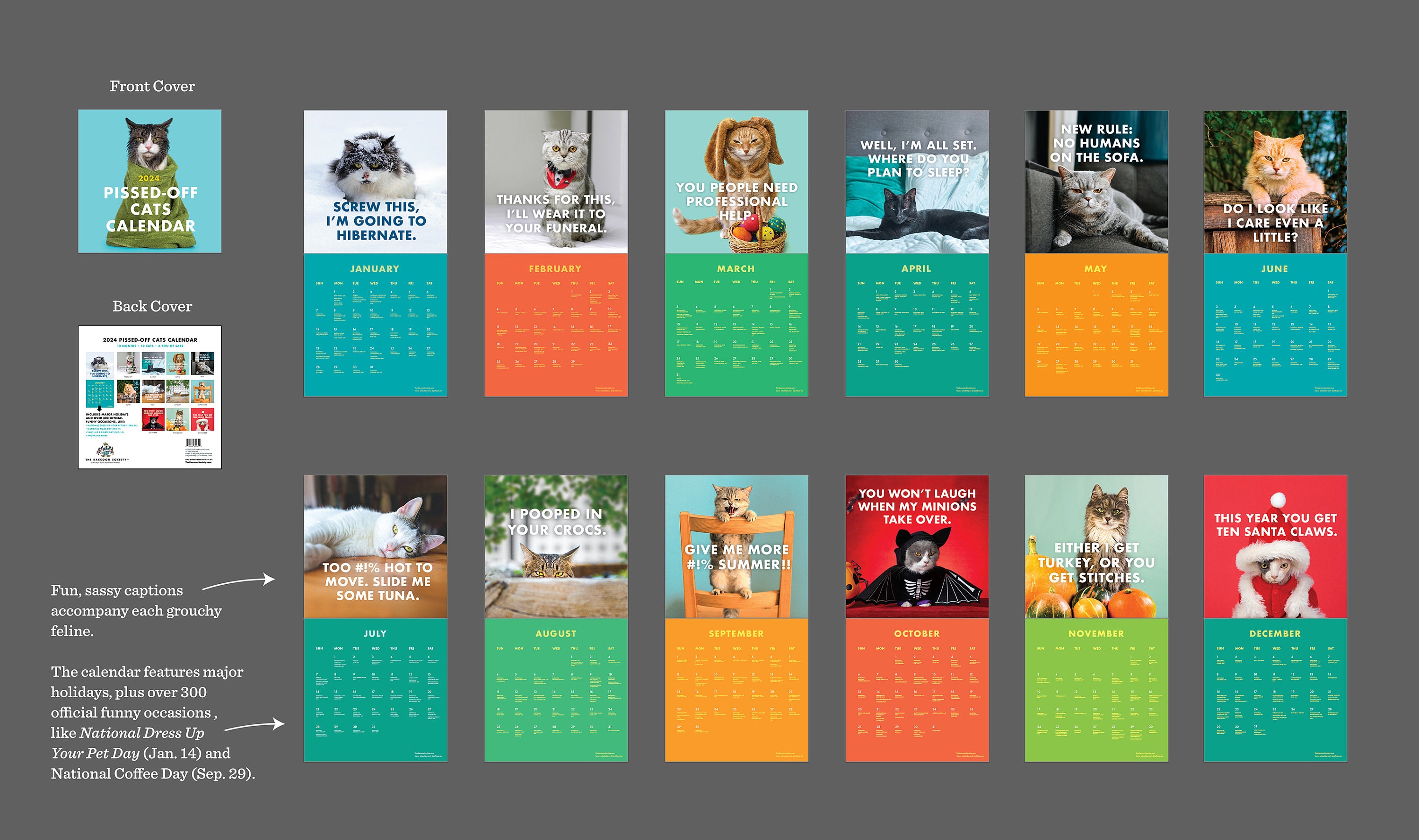 2024 Pissed-Off Cats Calendar - Ferociously Funny