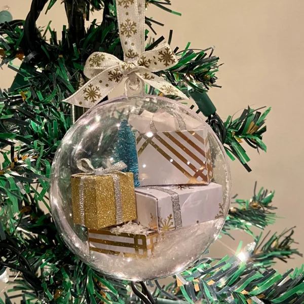 🎁Funny Christmas Gift Ornament
