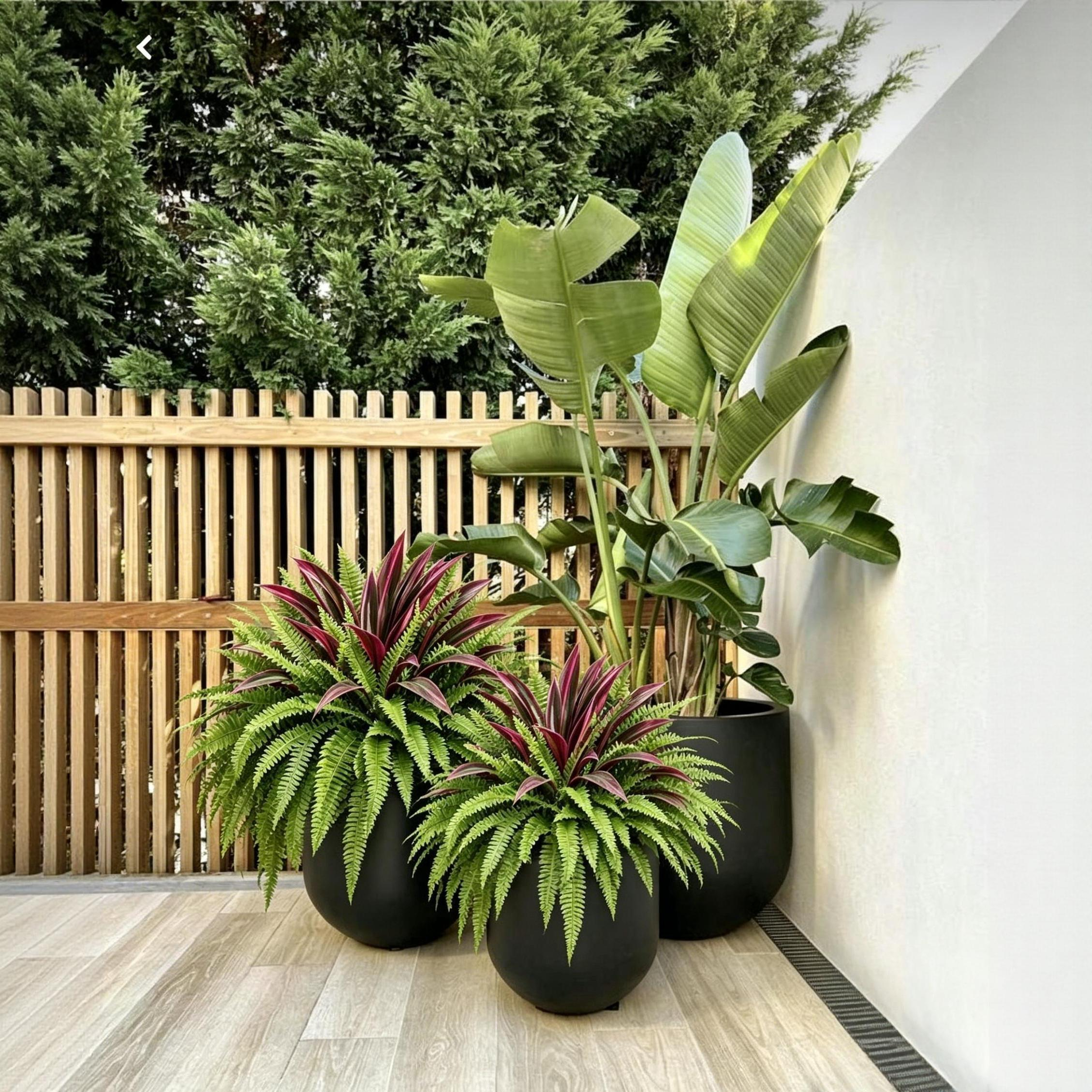 💥BUY 1 GET 1 FREE (2 PCS)🔥 48" Large UV-Resistant Artificial Fern & Red Dracaena Decorative Plants – Full, Lush & Fade-Resistant!