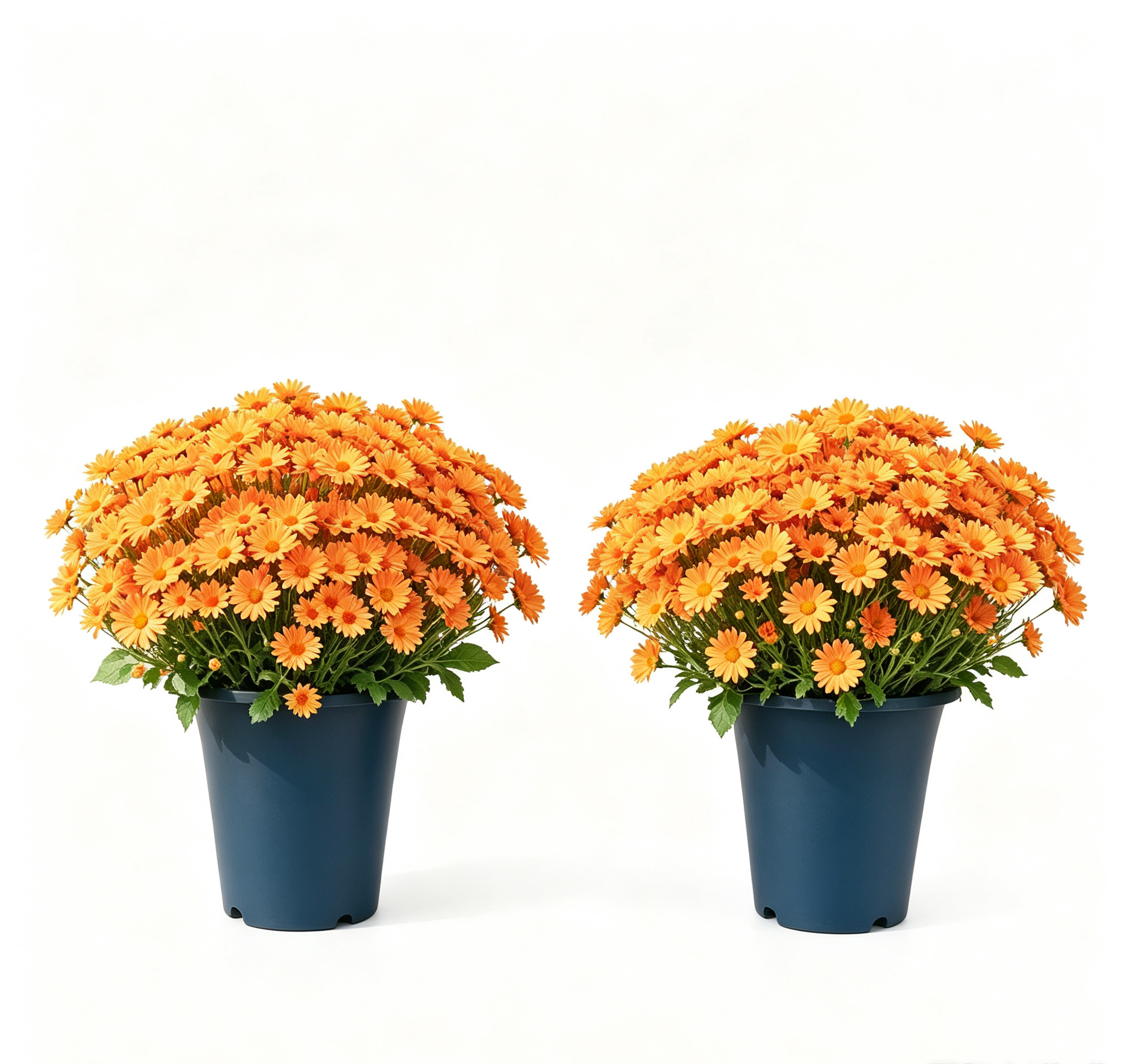 💥2026 Spring Hot Sale🌼Welcome autumn- Artificial Outdoor Sunset Mums Flowers - UV resistant, Waterproof, Windproof