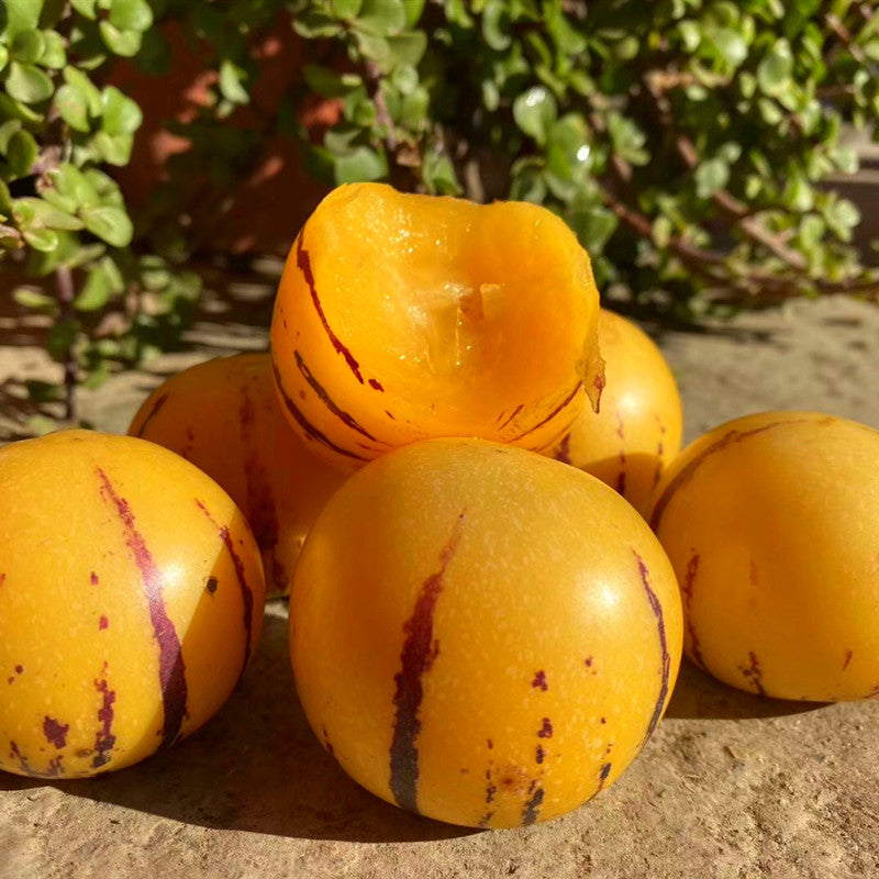 🍈 Rare Pepino Melon Seeds — Grow Your Own Exotic Fruit at Home