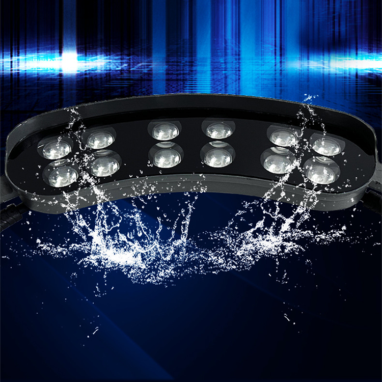 Outdoor LED landscape light with water-resistant housing