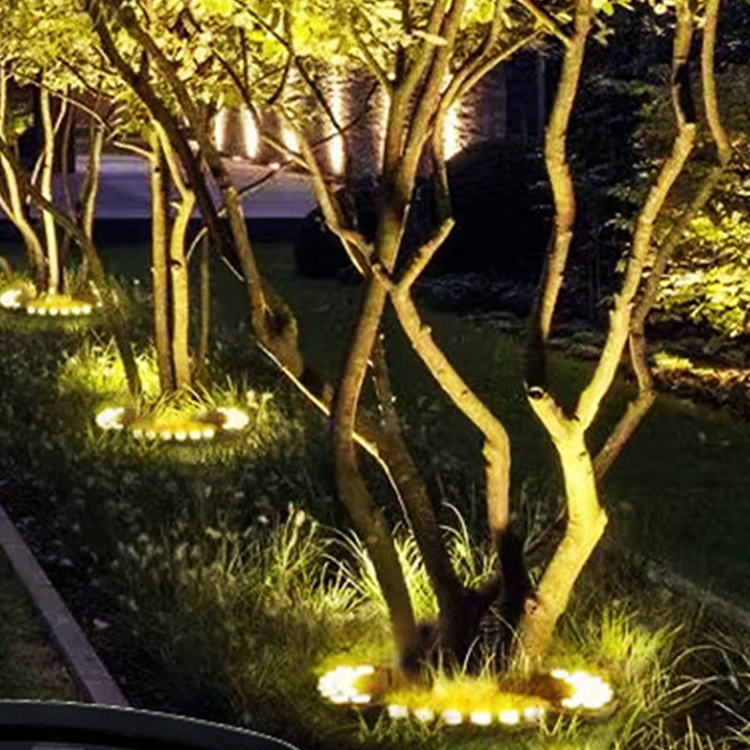 Outdoor tree ring lights creating warm landscape uplighting