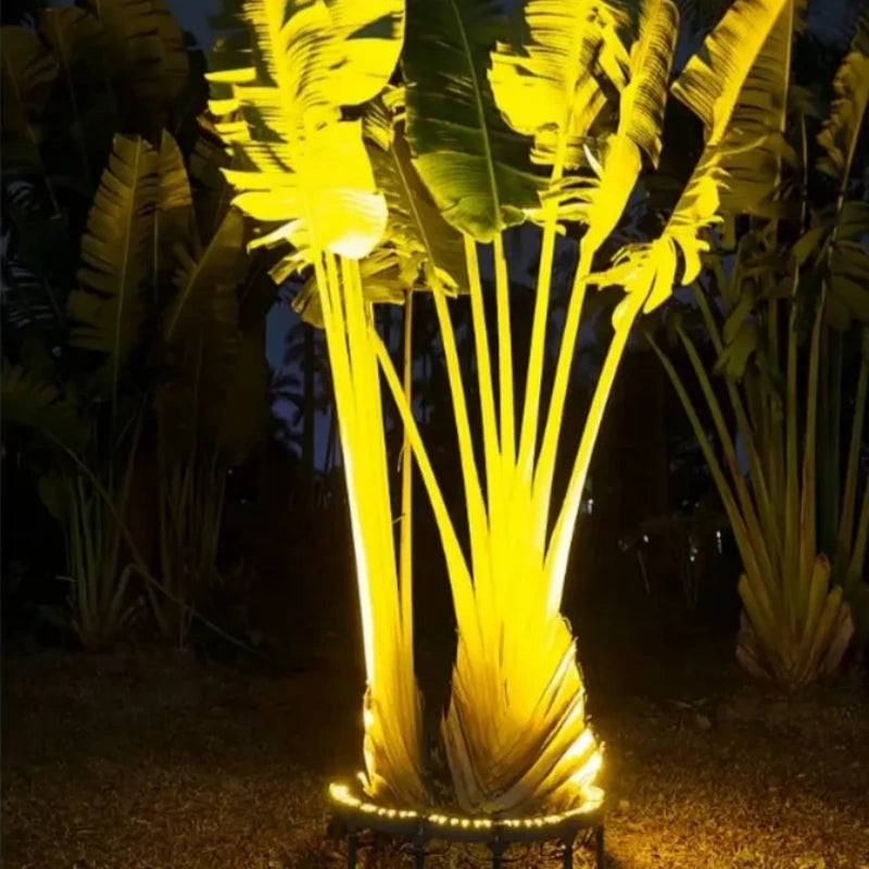 Warm golden LED uplighting around tropical palm tree