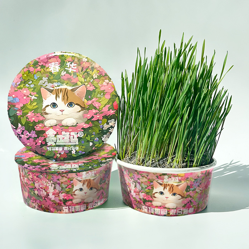 🌱😻 Zmes semien mačacej trávy – rýchly rast a skvelá chuť