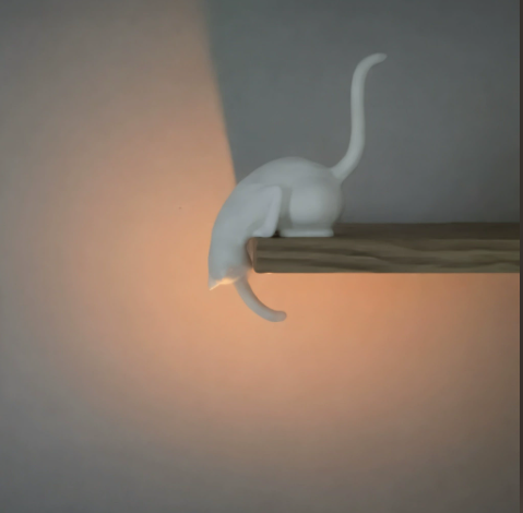 🐾🐾50% OFF 🐾Cat Shelf Hook with Vintage Lantern
