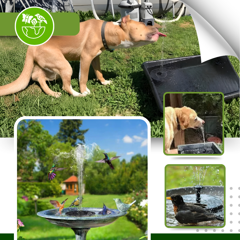 Solar water fountain | Floating solar fountain | Garden water pump solar - The Joy of a Fresher, More Living Garden - Ozerty Instant Charm Garden Floating Solar Fountain - The Joy of a Fresher, More Living Garden - Ozerty