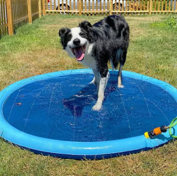 🔥The splash pad that makes your pup glad!