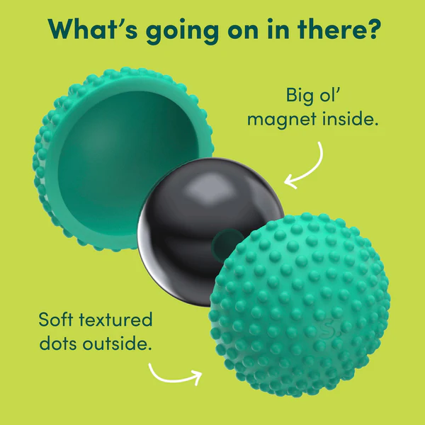 Silent Sensory Magnets | Textured Silicone Stress Balls for Calm & Focus