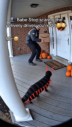 Pet wearing funny creepy crawling centipede costume animation