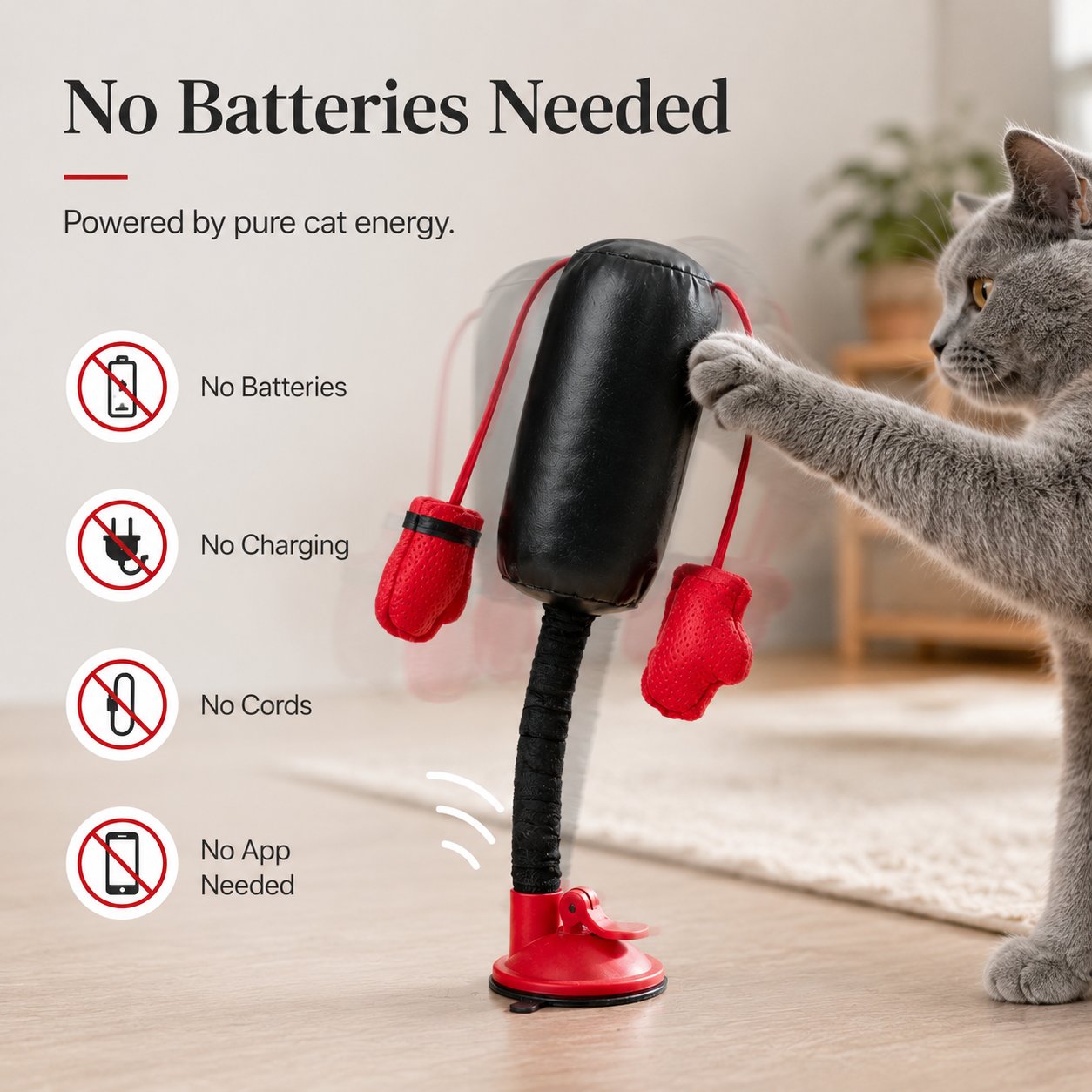 Battery free mechanical cat fitness toy display