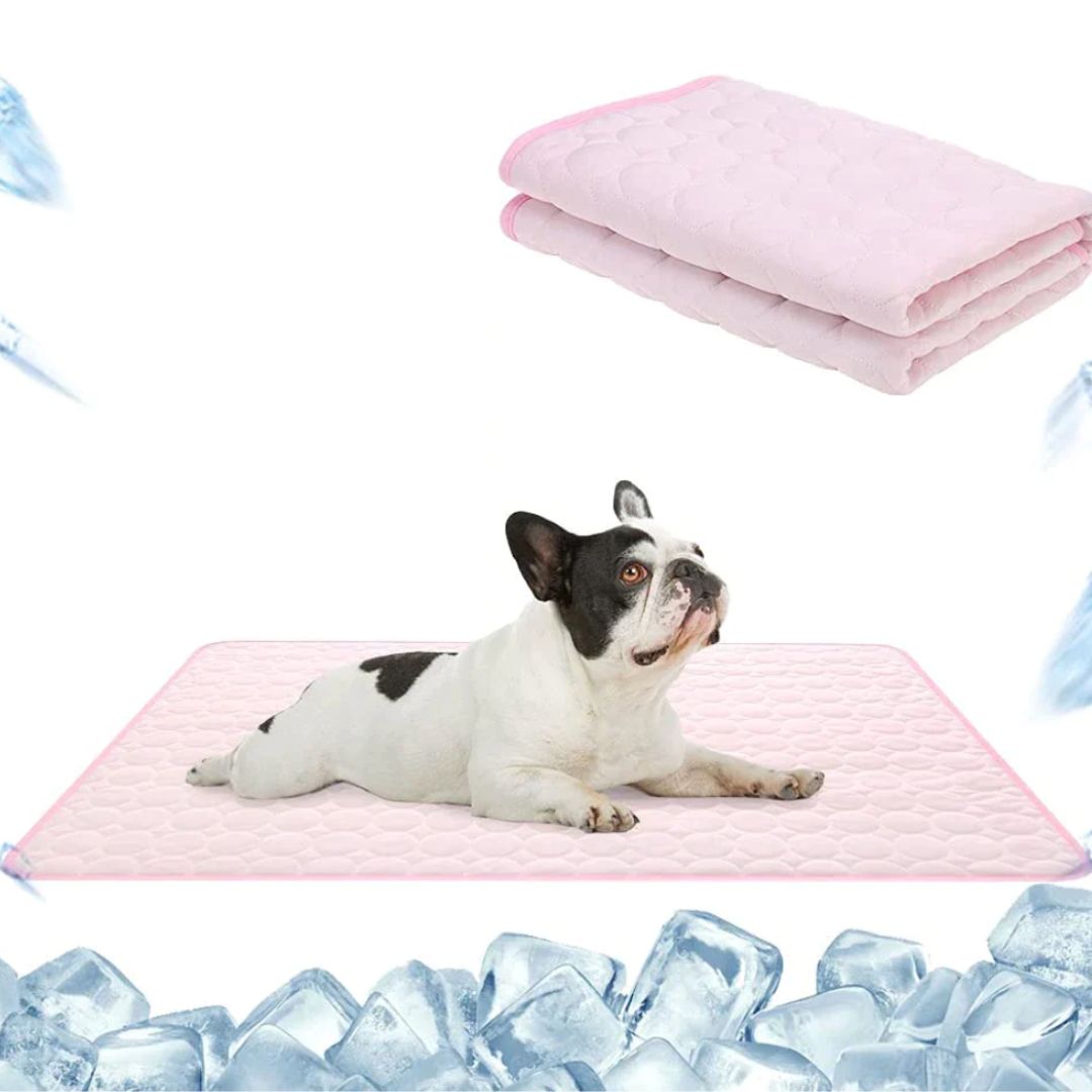 ☀️🔥 Summer Hot Sale | Buy 1 Get 1 FREE 🧊 Premium Cooling Mat for Pets