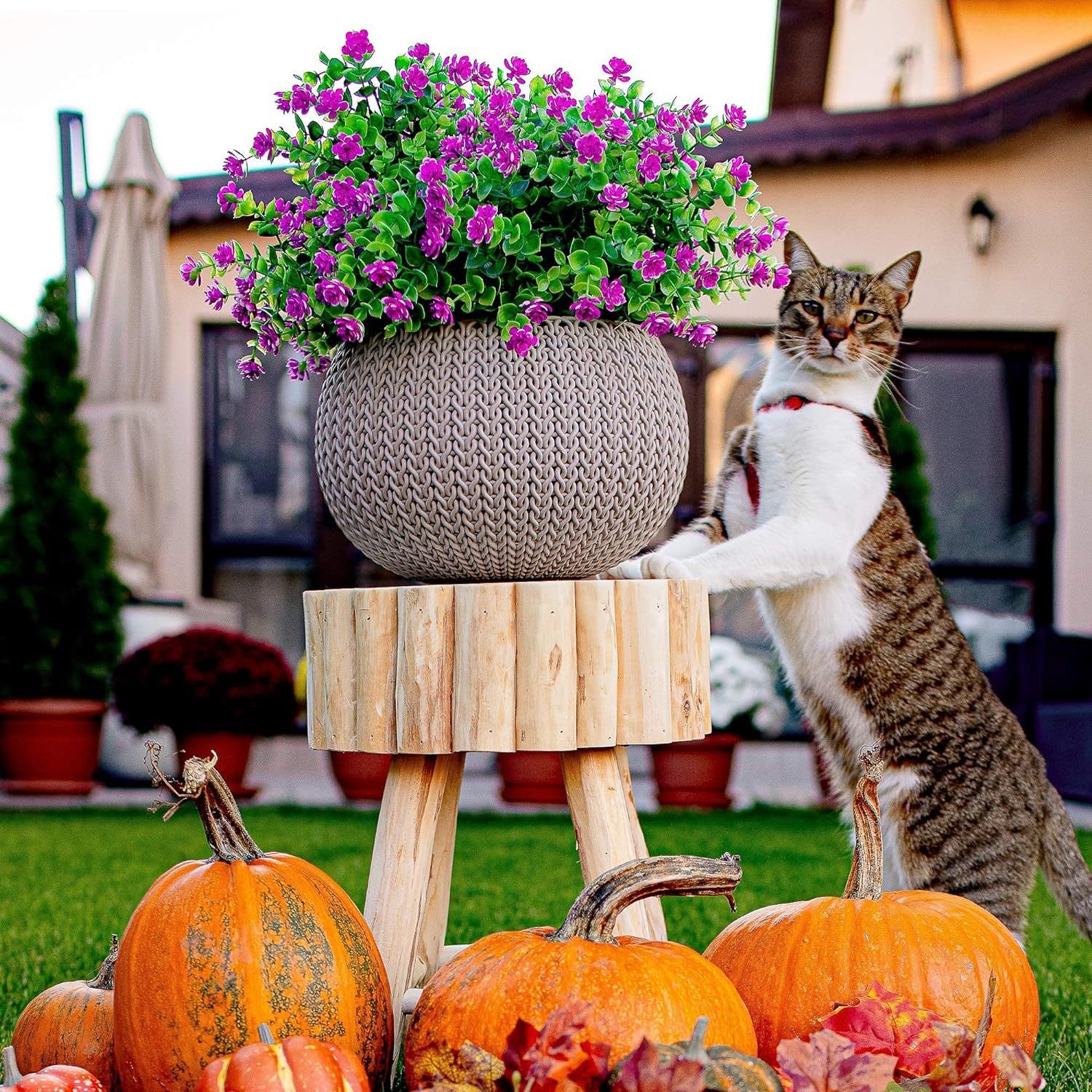 💥Last Day 60% OFF - 💐Outdoor Artificial Flowers