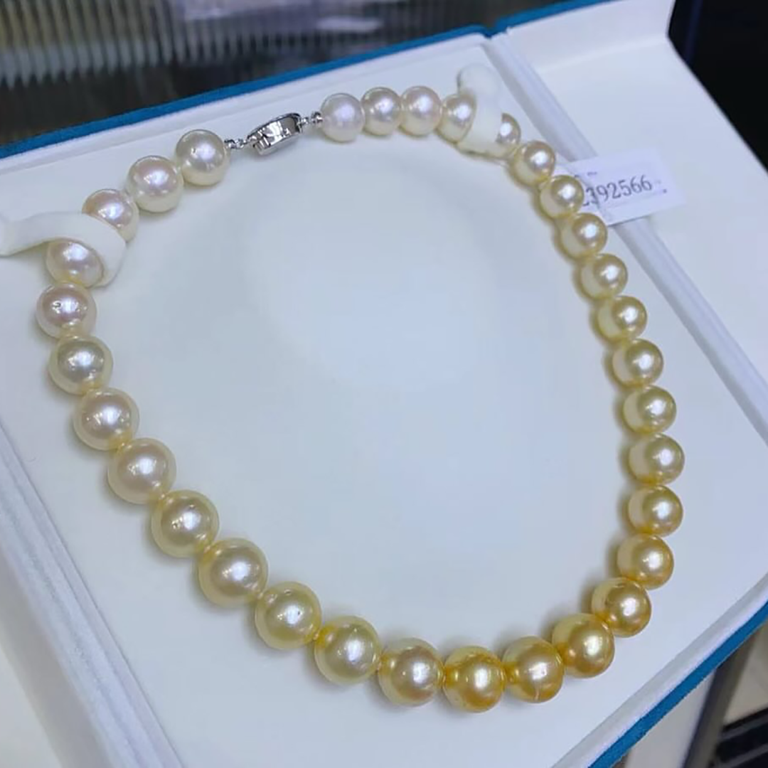 ✨ Luxury Shine, Classic Elegance – Japanese Akoya Pearls