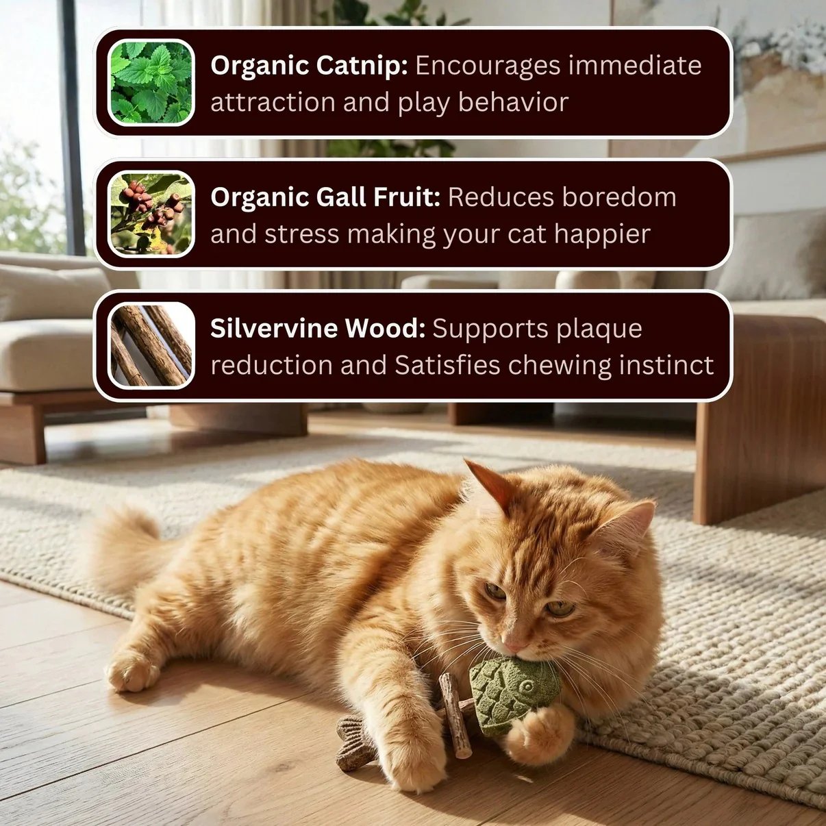 Cat chewing natural stick Cat chewing natural stick