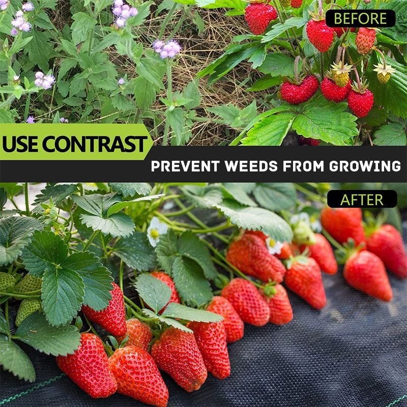 🔥 $9.98 On Sale Only Today 🌱—high-end woven weed barrier🏡—Protect your soil from weeds♻️