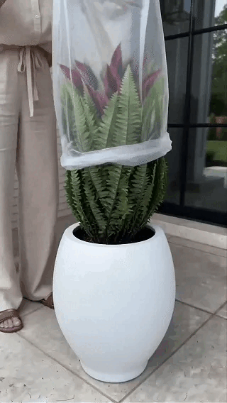 🔥LAST DAY SPECIAL 50% 🌿UV-Resistant Artificial Fern & Red Dracaena Decorative Plants &ndash; Full, Lush & Fade-Resistant!