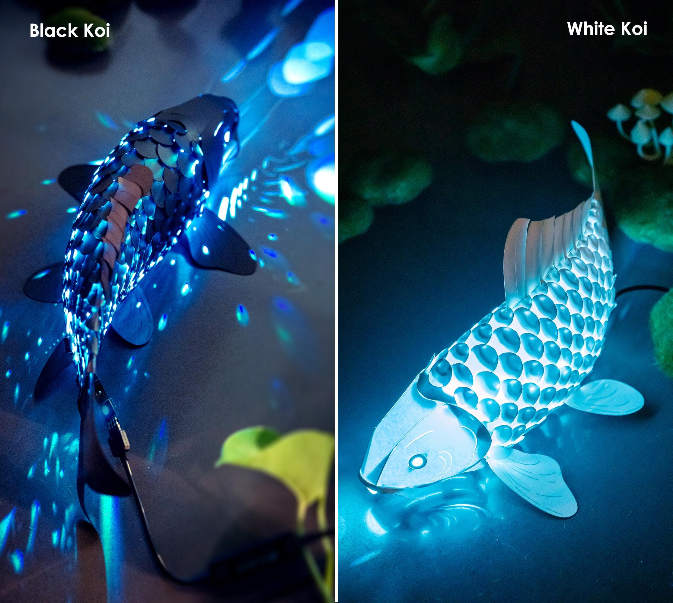 Paper Koi Lantern: DIY fish lamp kit