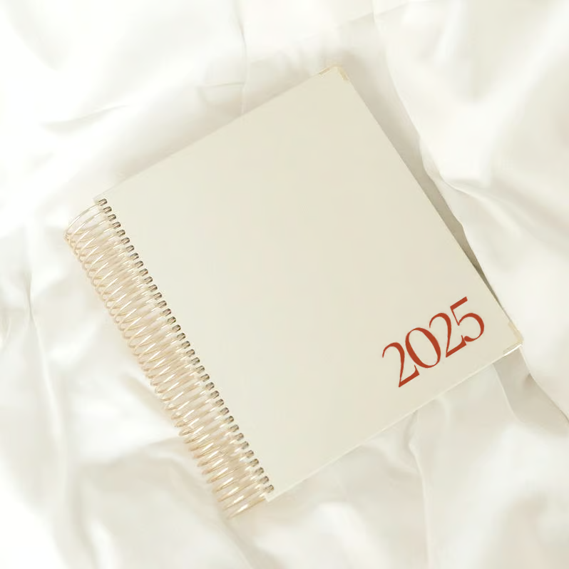 🔥Hot Sale 50%OFF🔥 2025 Daily Planner