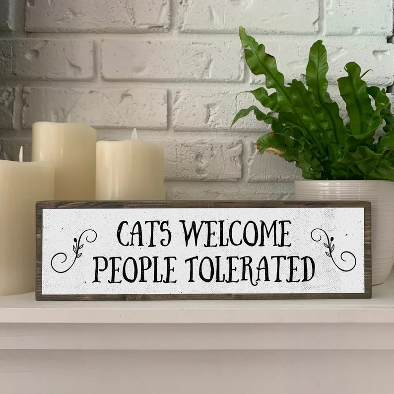Fun Farm Slogans Decorative Gifts