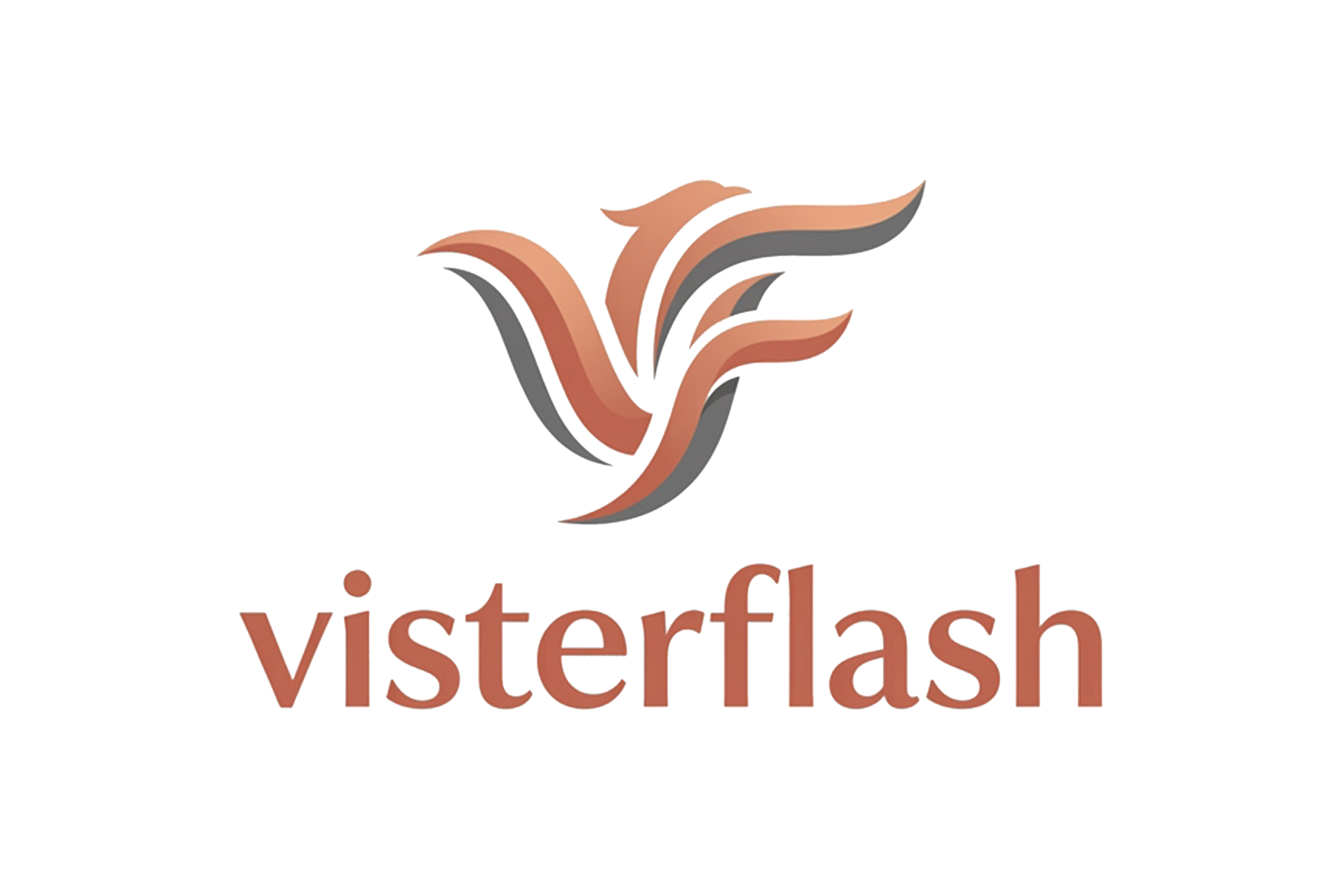 visterflash.com