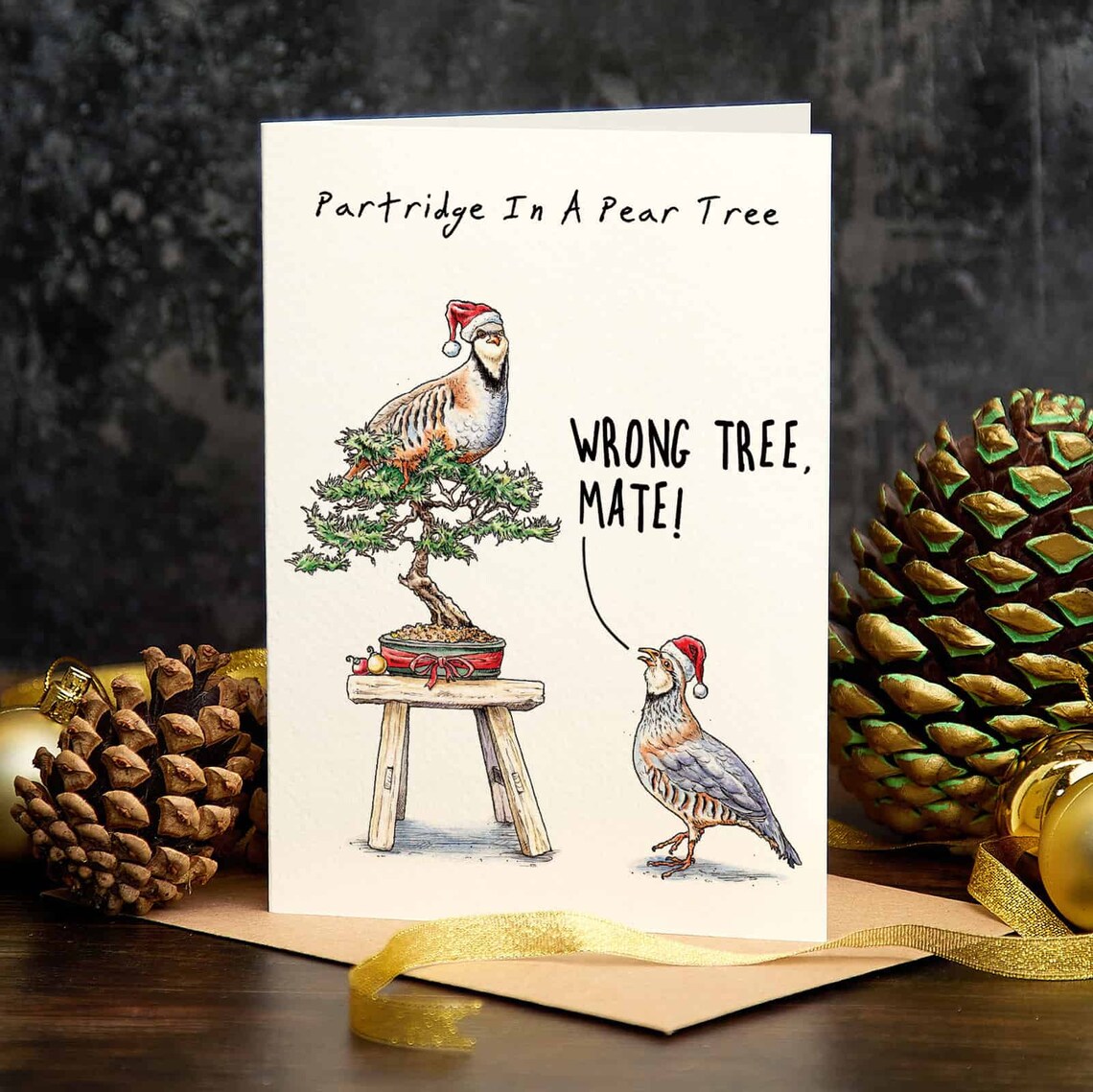 🎄Early Christmas Sale 🔥-Christmas Card Set (Pack of 10)