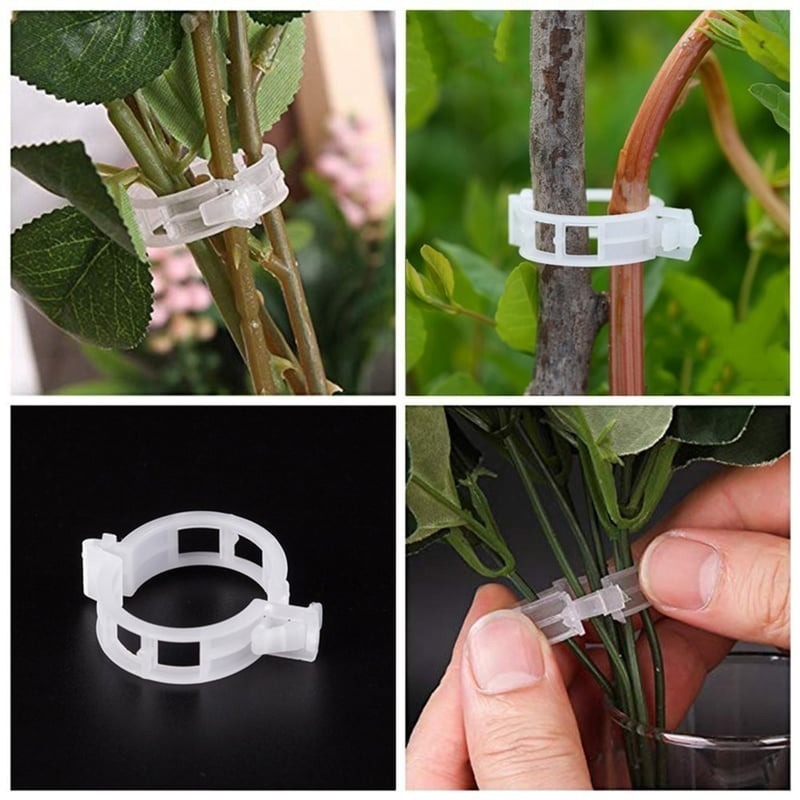 🔥HOT SALE 49% OFF 🤩Plant Support Clips🌱