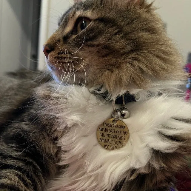 🤣Funny Dog Tag